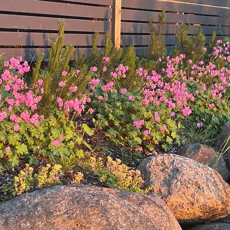 Salajaervi Alpstuga *