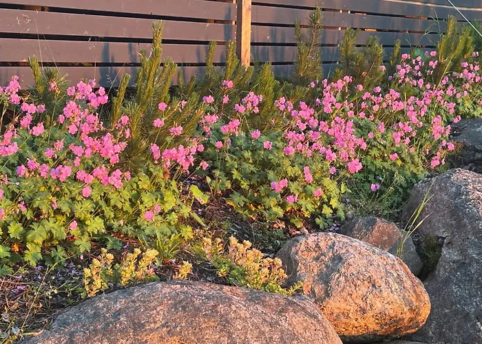 Salajaervi Alpstuga *